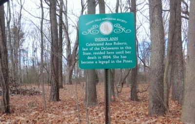 Indian Ann Marker image. Click for full size.