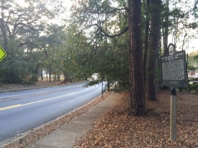 Looking towards Thomasville Road to the west. image. Click for full size.