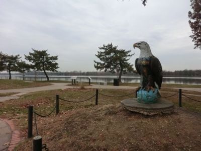 Eagle at the Burlington River Front Park image. Click for full size.