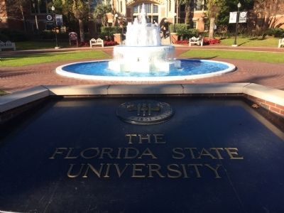 The Florida State University image. Click for full size.