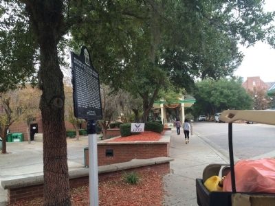 Looking north on Martin Luther King Jr. Boulevard. image. Click for full size.