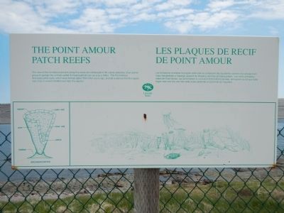 The Point Amour Patch Reefs / Les plaques de recif de Point Amour image. Click for full size.
