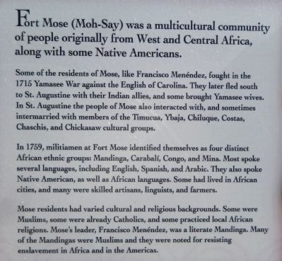 African Origins Marker (<i>center detail view</i>) image. Click for full size.