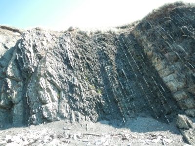 Cambrian-Ordovician Boundary image. Click for full size.