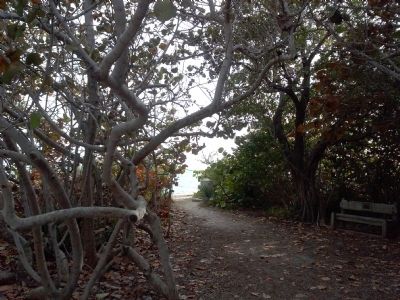 Path to marker and sea. Click for full size. Path to marker and sea image. Click for full size.