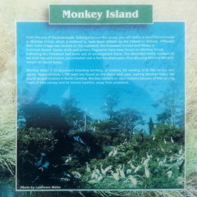 Monkey Island image. Click for full size.
