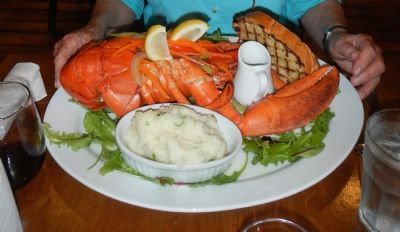 Lobster in Nova Scotia image. Click for full size.