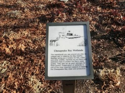 Chesapeake Bay Wetlands Marker image. Click for full size.