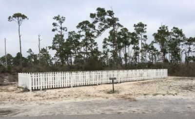Chasefield Plantation Cemetery. Click for full size. Chasefield Plantation Cemetery image. Click for full size.