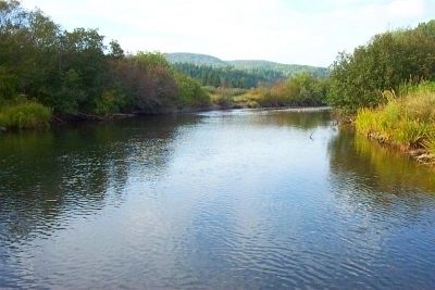 The Margaree River. Click for full size. The Margaree River image. Click for full size.