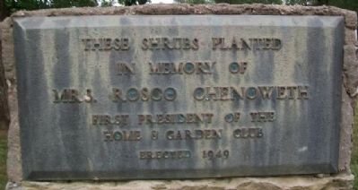 Mrs. Rosco Chenoweth Marker image. Click for full size.
