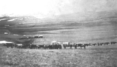 Bozeman Trail Marker. Click for full size. Bozeman Trail Marker image. Click for full size.