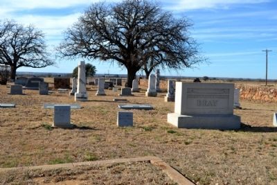 Grave Site of Moran Pioneer M.D. Bray image. Click for full size.