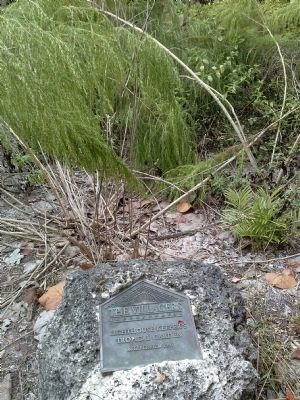 Lighthouse Keepers' Tropical Garden image. Click for full size.