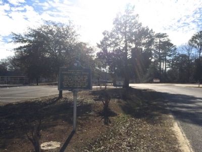 View of marker looking south on Clara School Road image. Click for full size.