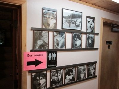 Iditarod Wall of Fame image. Click for full size.