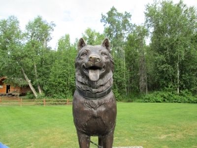 Balto Marker. Click for full size. Balto Marker image. Click for full size.