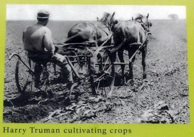 Harry Truman Cultivating Crops image. Click for full size.