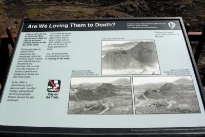 Are We Loving Them to Death? Marker image. Click for full size.