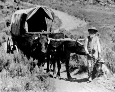 Erza Meeker on the Oregon Trail. Click for full size. Erza Meeker on the Oregon Trail image. Click for full size.