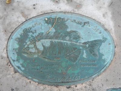 Wyoming's Aquarium in Stone plaque image. Click for full size.