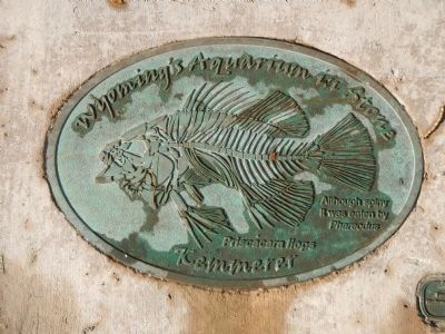 Kemmerer Founders Monument Marker. Click for full size. Kemmerer Founders Monument Marker image. Click for full size.