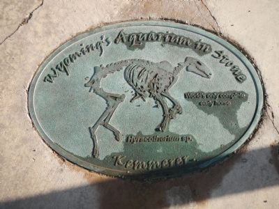Wyoming's Aquarium in Stone plaque image. Click for full size.