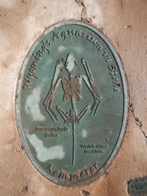 Wyoming's Aquarium in Stone plaque. Click for full size. Wyoming's Aquarium in Stone plaque image. Click for full size.