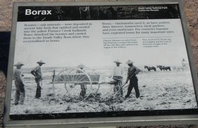 Borax panel image. Click for full size.