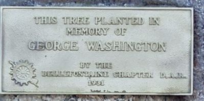 George Washington Memorial Tree Marker. Click for full size. George Washington Memorial Tree Marker image. Click for full size.