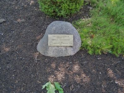 George Washington Memorial Tree Marker. Click for full size. George Washington Memorial Tree Marker image. Click for full size.