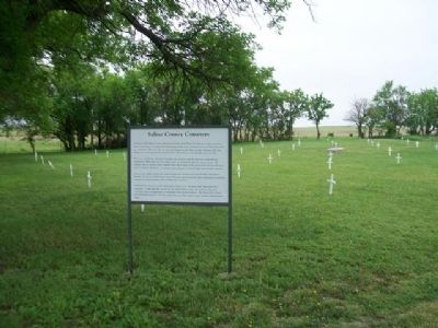 Saline County Cemetery and Marker. Click for full size. Saline County Cemetery and Marker image. Click for full size.