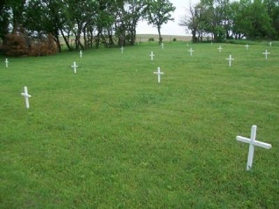 Saline County Cemetery. Click for full size. Saline County Cemetery image. Click for full size.