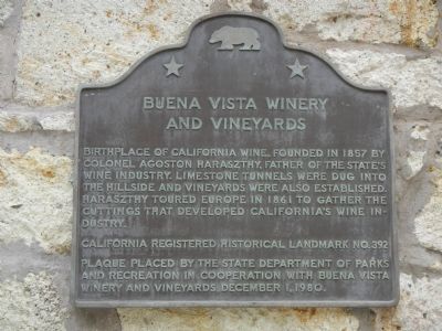 Buena Vista Winery and Vineyards Marker. Click for full size. Buena Vista Winery and Vineyards Marker image. Click for full size.