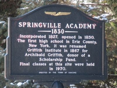 Springville Academy Marker image. Click for full size.