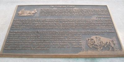 The Tallgrass Prairie Marker image. Click for full size.