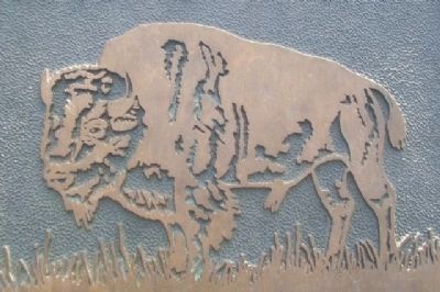 Bison on The Tallgrass Prairie Marker image. Click for full size.