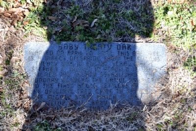 Baby Treaty Oak Marker image. Click for full size.