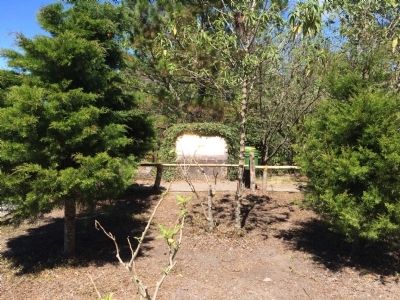 Wide view of Boqueron National Park Marker image. Click for full size.