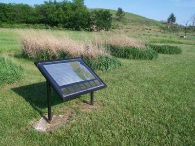 Tallgrass Prairie Plots and Marker image. Click for full size.