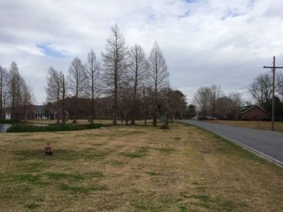 View east on LA Highway 308 towards marker.. Click for full size. View east on LA Highway 308 towards marker. image. Click for full size.