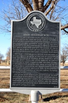 Adair - Steadman Site Marker image. Click for full size.