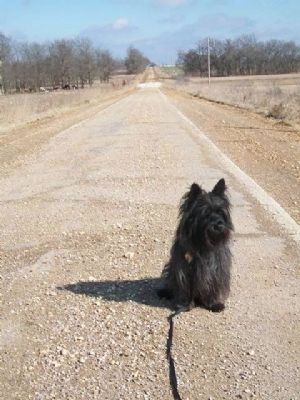 BannerB Gets His Kicks on Route 66. Click for full size. BannerB Gets His Kicks on Route 66 image. Click for full size.