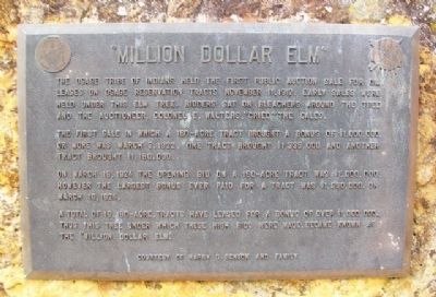 "Million Dollar Elm" Marker image. Click for full size.