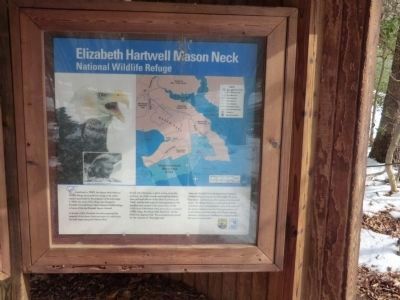 Elizabeth Hartwell Mason Neck Wildlife Refuge-kiosk panel. Click for full size. Elizabeth Hartwell Mason Neck Wildlife Refuge-kiosk panel image. Click for full size.