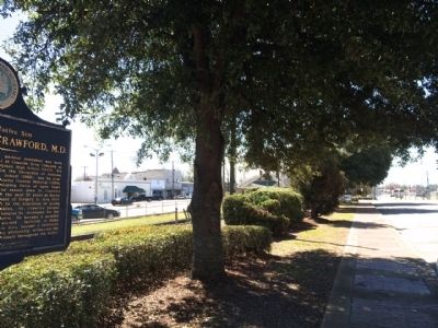 View of marker looking west on U.S. Highway 84 image. Click for full size.