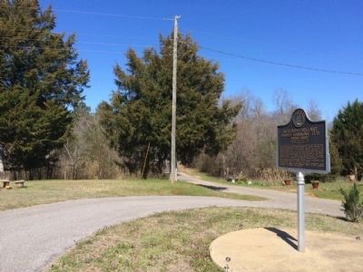 View north of Brown Hawkins Road & marker.. Click for full size. View north of Brown Hawkins Road & marker. image. Click for full size.