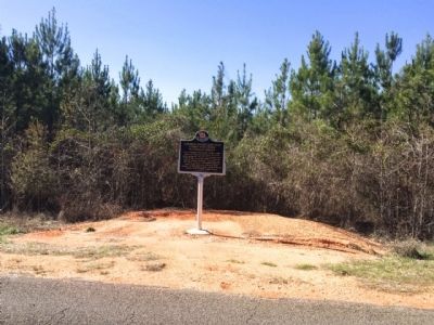 Marker in distance across CR-5. image. Click for full size.