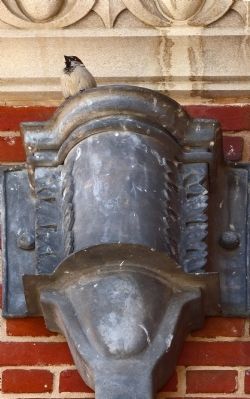 House Sparrow on a Downspout image. Click for full size.