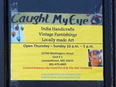 Caught My Eye. Click for full size. Caught My Eye image. Click for full size.